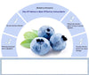 BIOAQUA Blueberry Hyaluronic Acid Liquid Oil 15ml