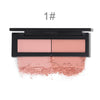 HENLICS Beauty Product Series Wonderful 2 Color Makeup Blush